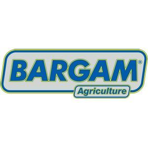 Bargam