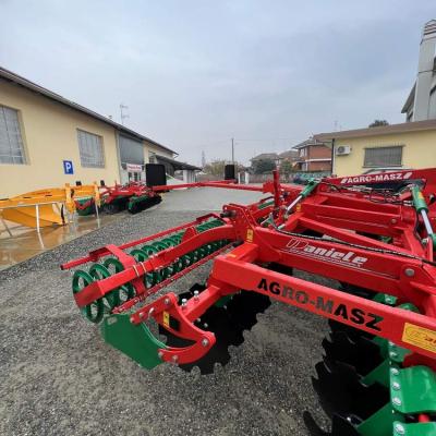 Agro Masz Piemonte a dischi indipendenti 