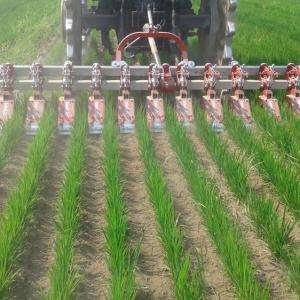 Breviglieri Fresa Interfilare